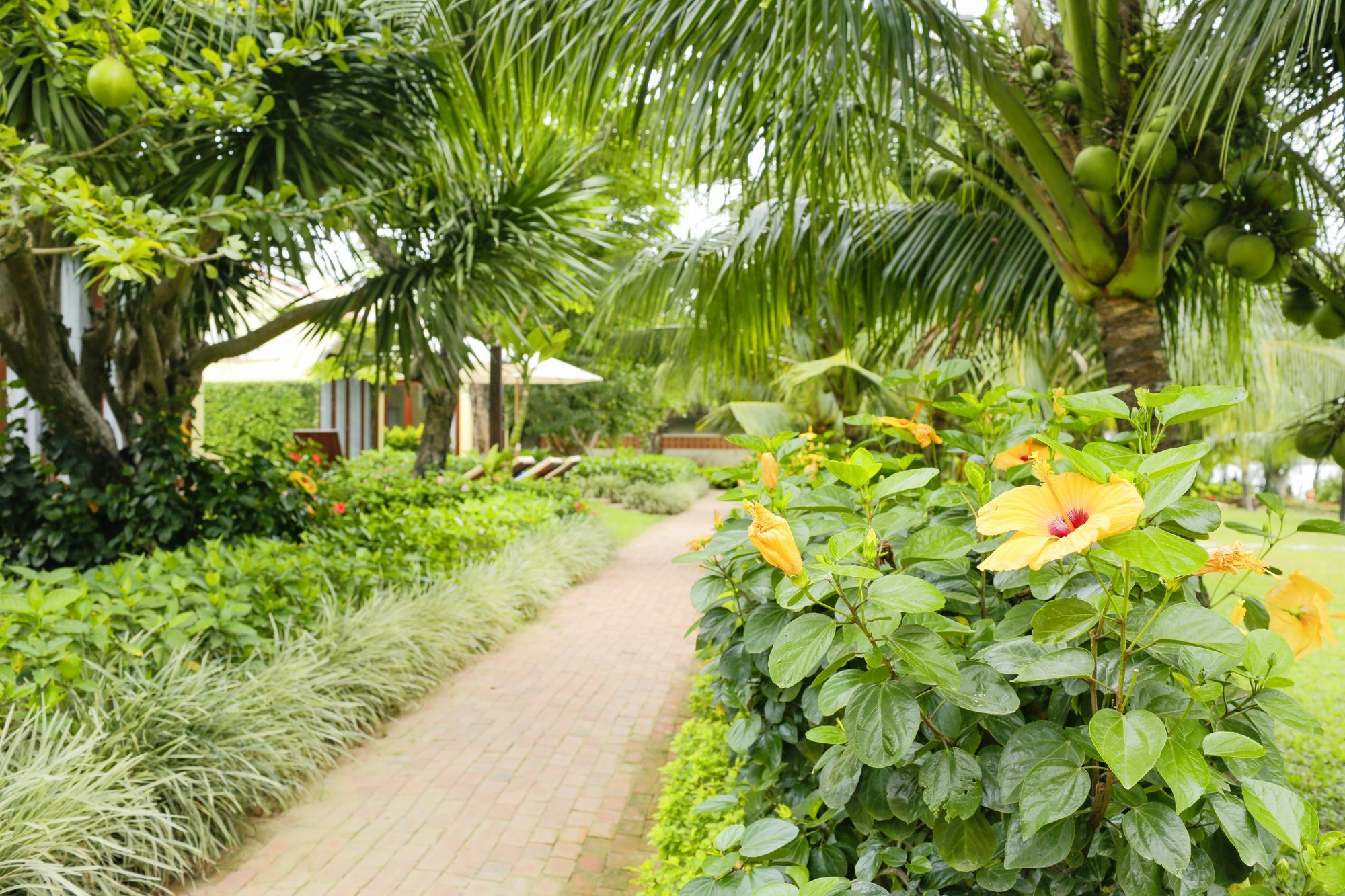 Mulberry Collection Silk Marina Imperial Wing Hotel Hoi An Bagian luar foto